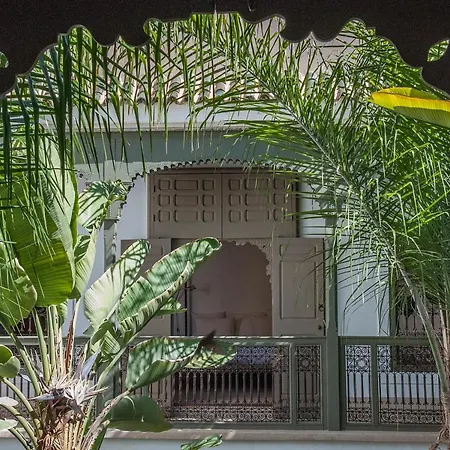 Riad Jaaneman